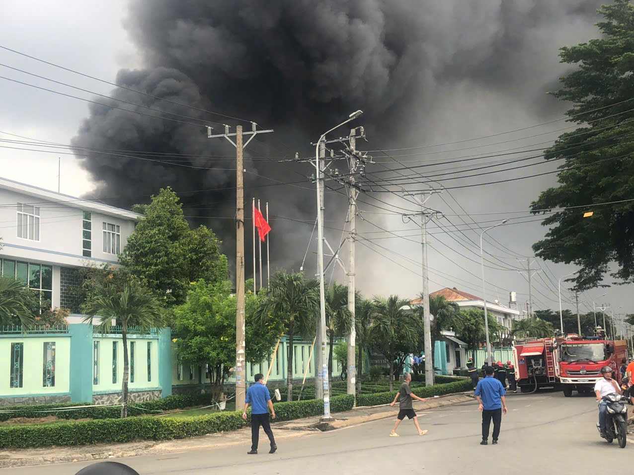 Hien truong vu hoa hoan. Anh: Dinh Trong