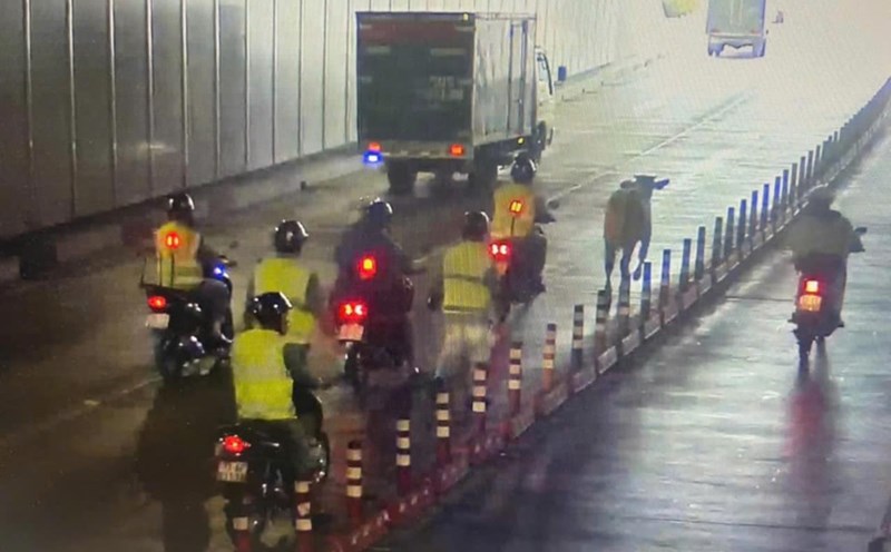 Saigon River tunnel workers chased and intercepted the cows to ensure safety. Photo: Minh Bang