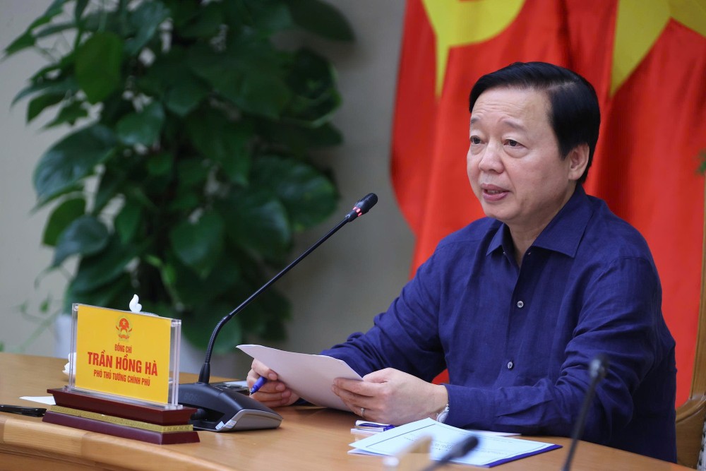 副首相のトラン・ホン・ハは、刑事の取り扱いを含むアフリカの豚コレラを意図的に配布する行為を厳密に処理するよう要求した。写真：Minh Khoi