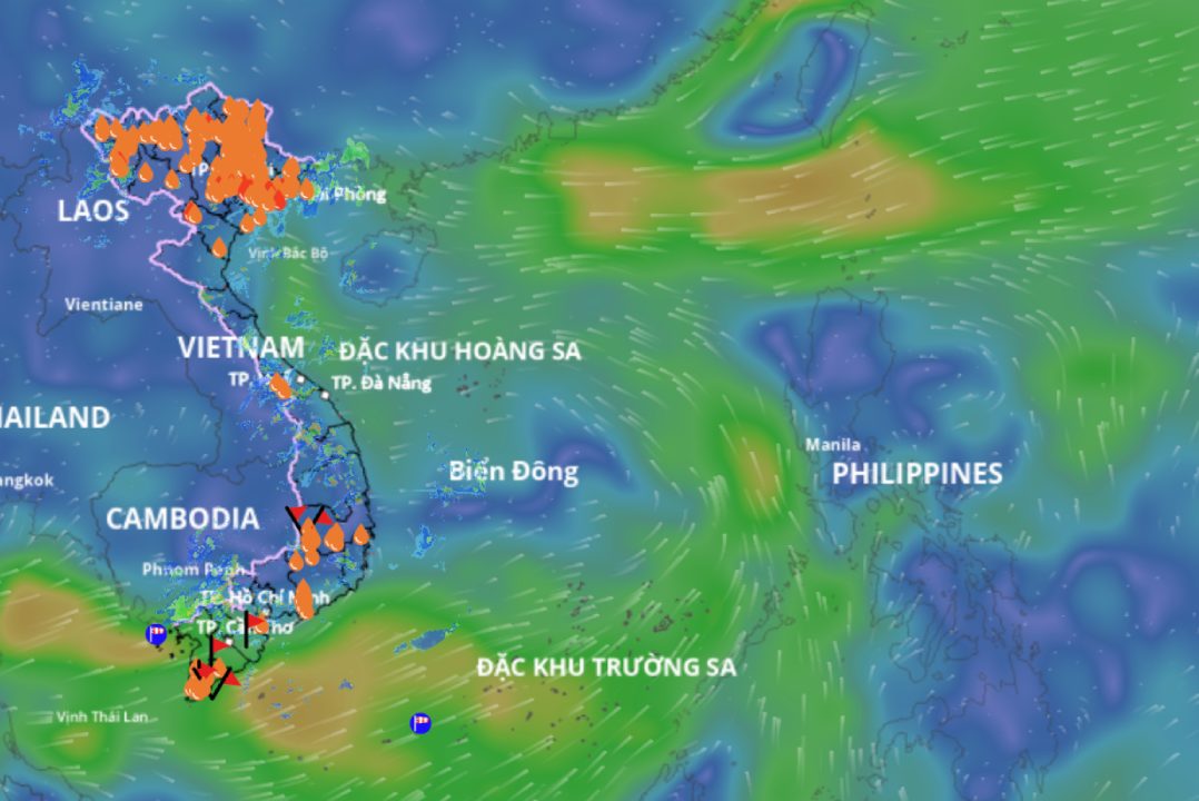 南シナ海の低気圧が強まる可能性があると予測。以下は、8月15日午後4時に更新された海上風場の画像です。出典:ベトナム自然災害監視システム