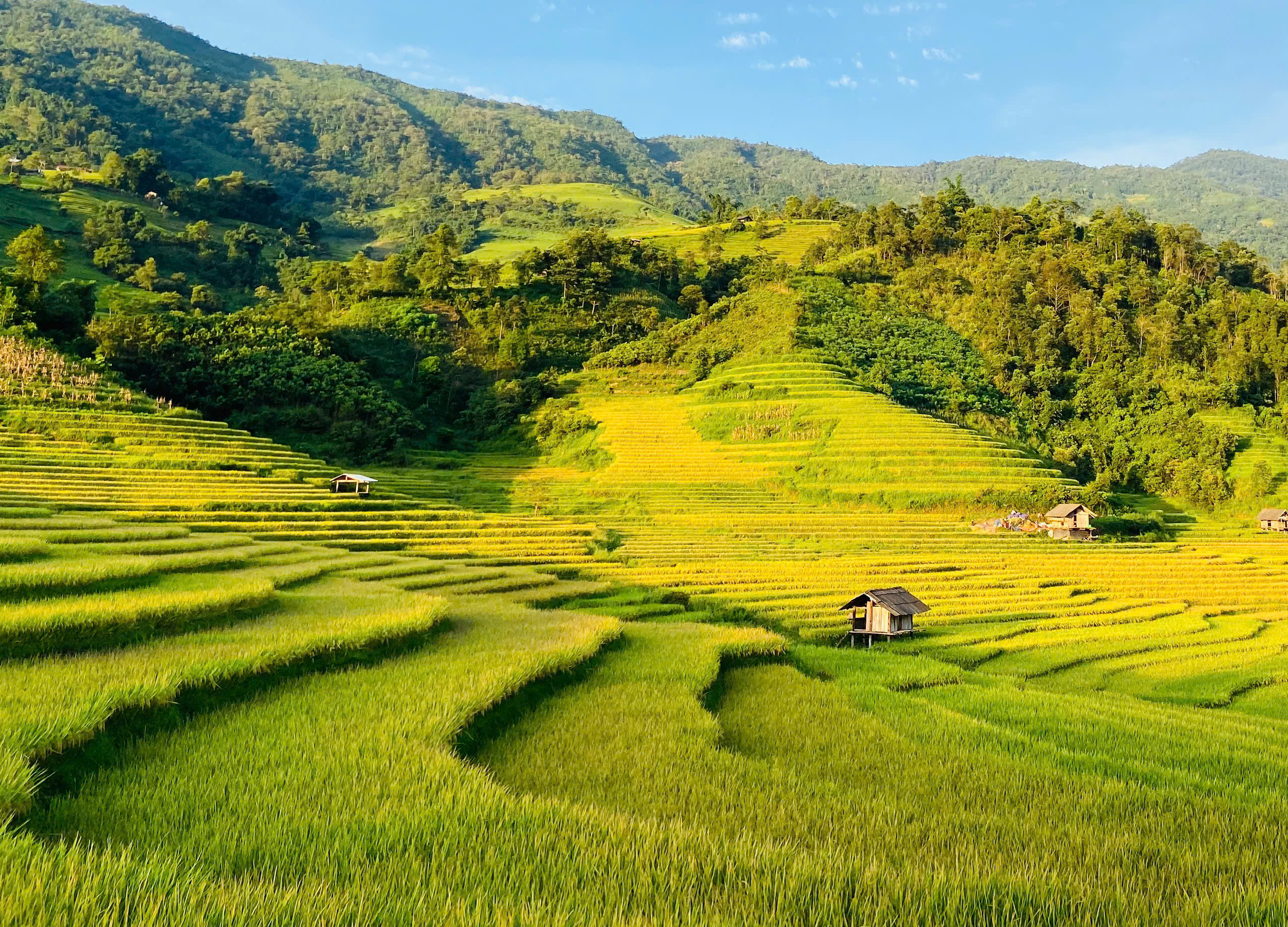 Những thửa ruộng bậc thang tạo nên bức tranh phong cảnh tuyệt đẹp.