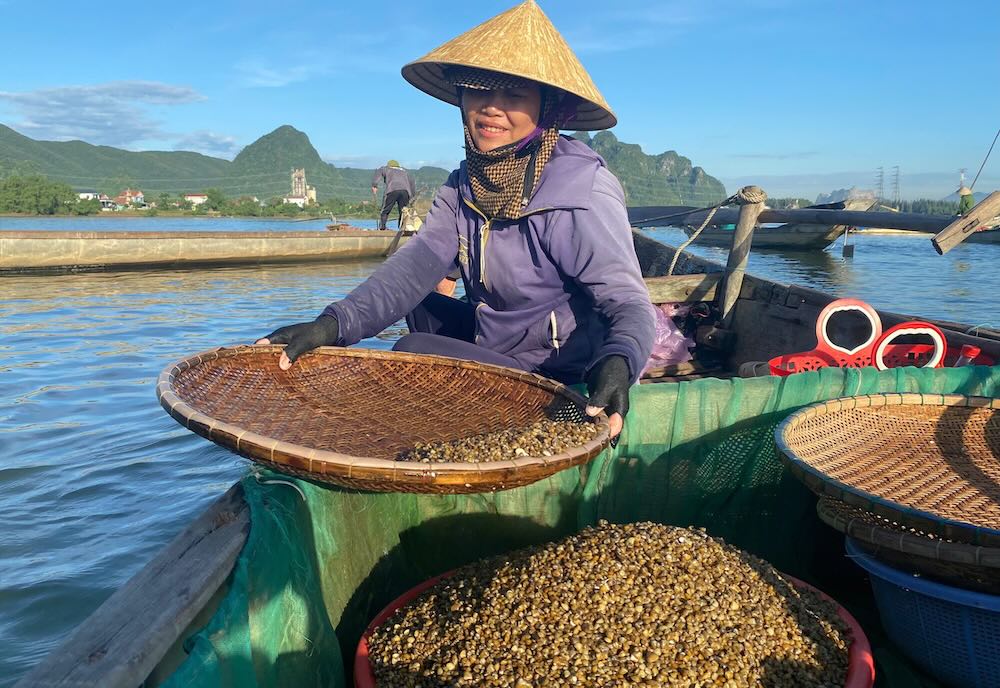 The specialties are chopped and absorbed with the flavor of Gianh River alluvium.