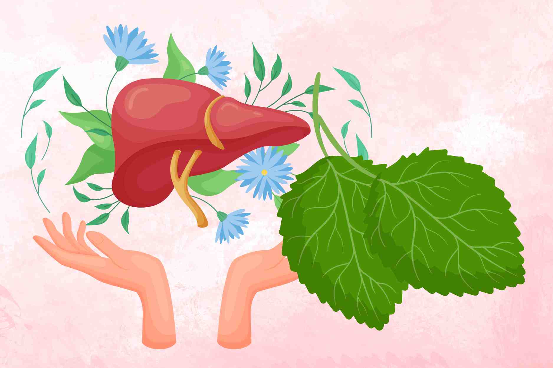 A familiar leaf that both cleans the lungs and cools the liver that many people ignore