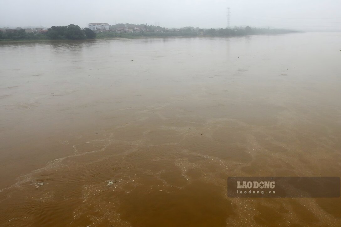 タオ川の水位は上昇し、洪水期には常に濁っています。写真:トー・コン.