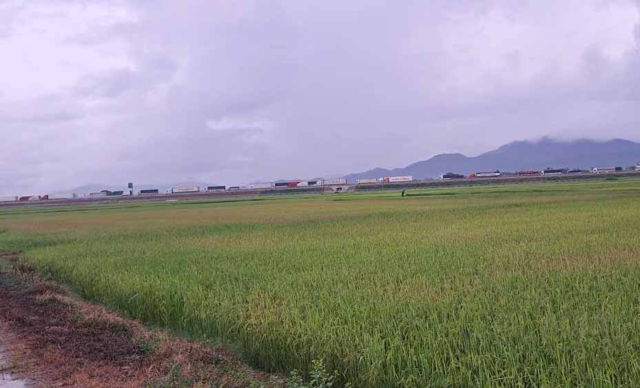 Tac duong keo dai sau tai nan. Anh: Duc Tuan.
