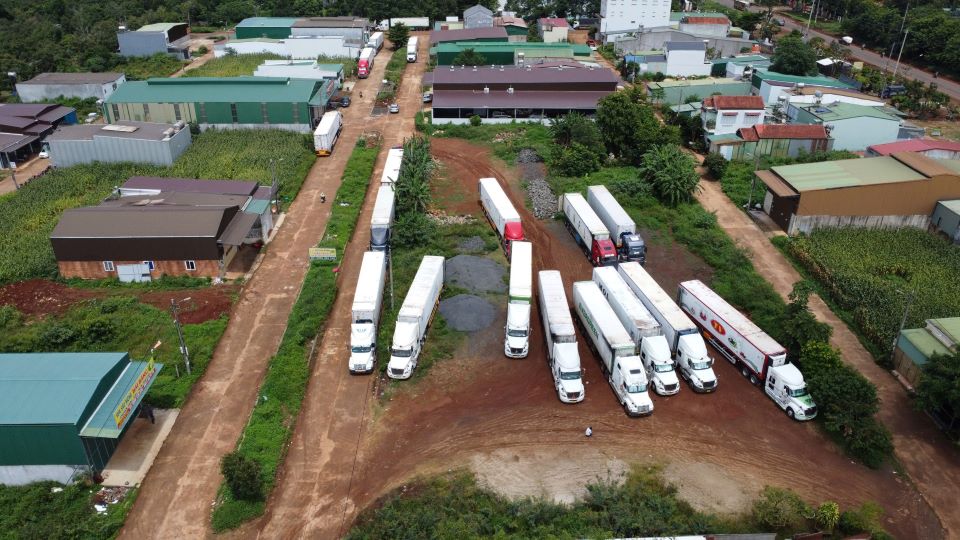 Many container trucks gathered in the durian capital. Photo: Bao Lam