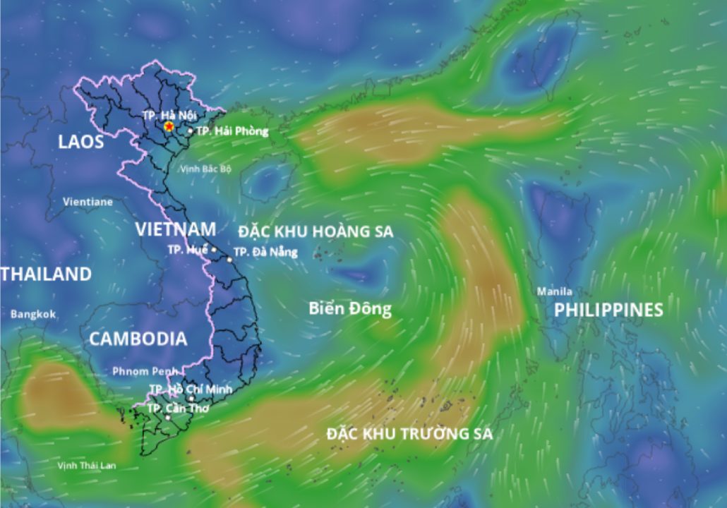 南シナ海の低気圧が強まる可能性があると予測。以下は、8月16日午前10時に更新された海上風場の画像です。出典:ベトナム自然災害監視システム