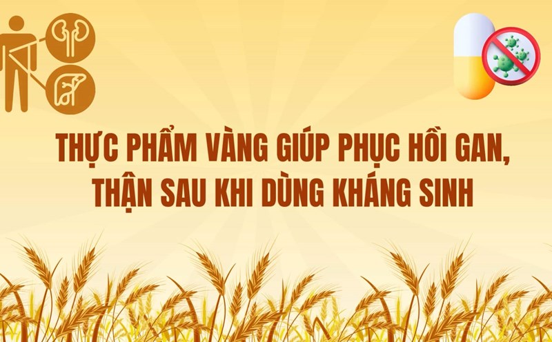 Tips for yellow foods that help restore liver and kidneys after taking antibiotics