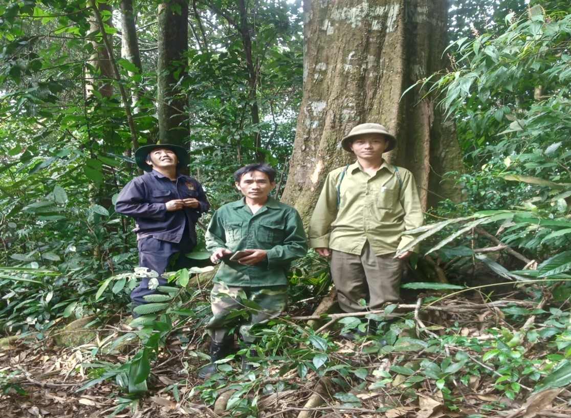 Cong tac bao ve rung tai Nghe An duoc thuong xyen chu trong. Anh: Ngoc Anh