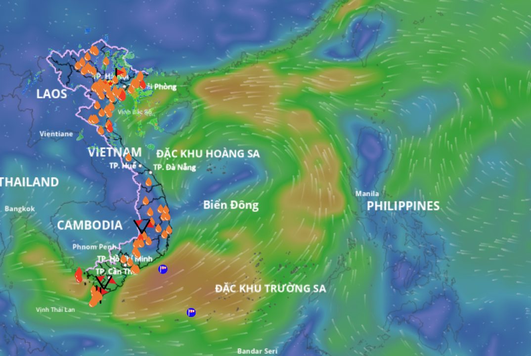 The low pressure area in the East Sea is forecast to strengthen. above is an image of the wind field at sea updated at 5:00 p.m. on August 16. Source: Vietnam Disaster Monitoring System