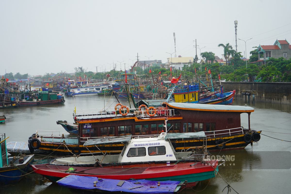 Hai Phong proactively responds to low pressure areas that are likely to strengthen into tropical depressions. Photo: Bang Tam