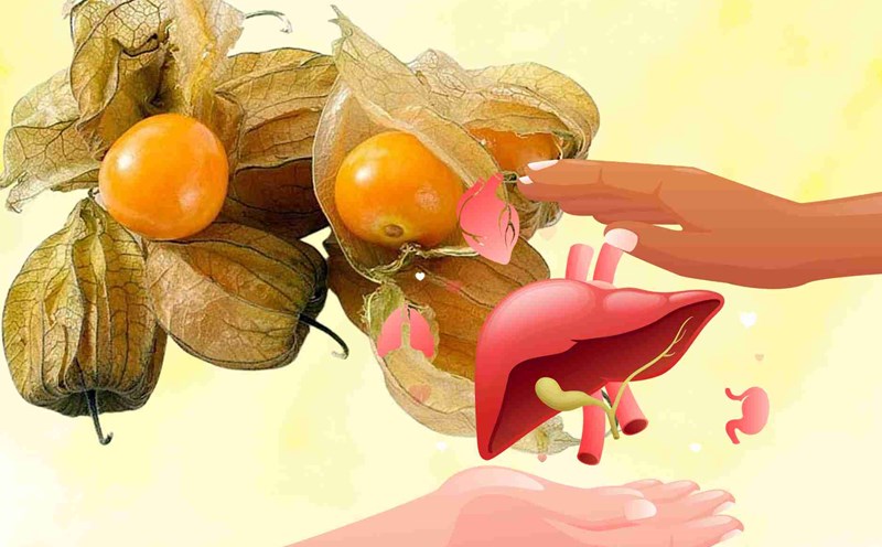 Wild plants growing along the road are a valuable medicine to help cool down and detoxify the liver