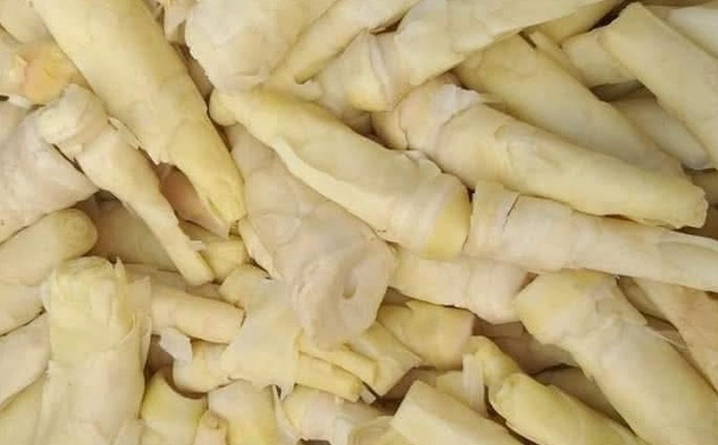 People with gout and no uric acid increase should minimize eating bamboo shoots, even if full, it is a good food for healthy people. Photo: Kieu Vu