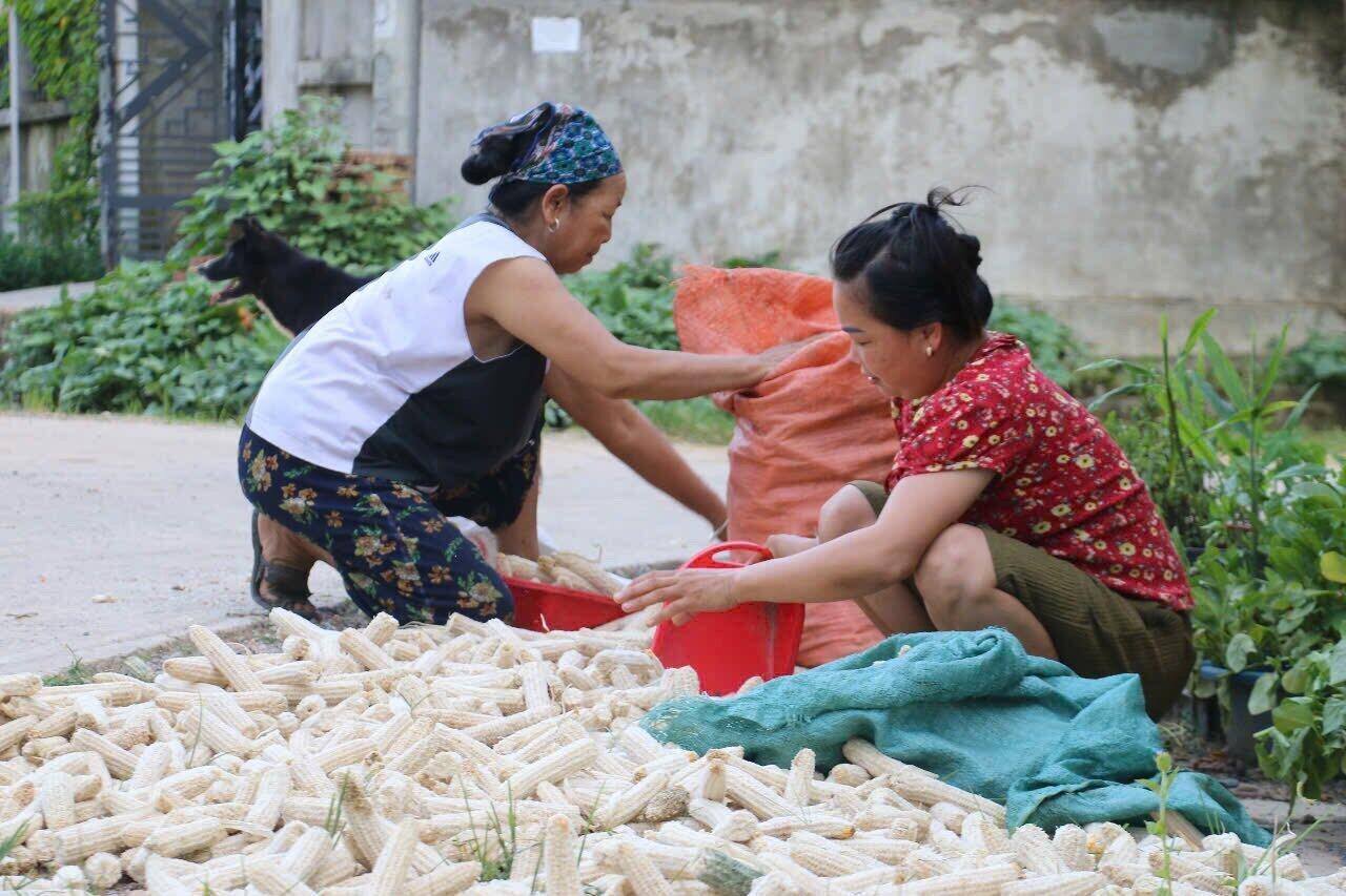 Nguoi dan o khu tai dinh cu xom Nhun, xa Yen Phu ban ron voi cong viec hang ngay. Anh: Dang Tinh