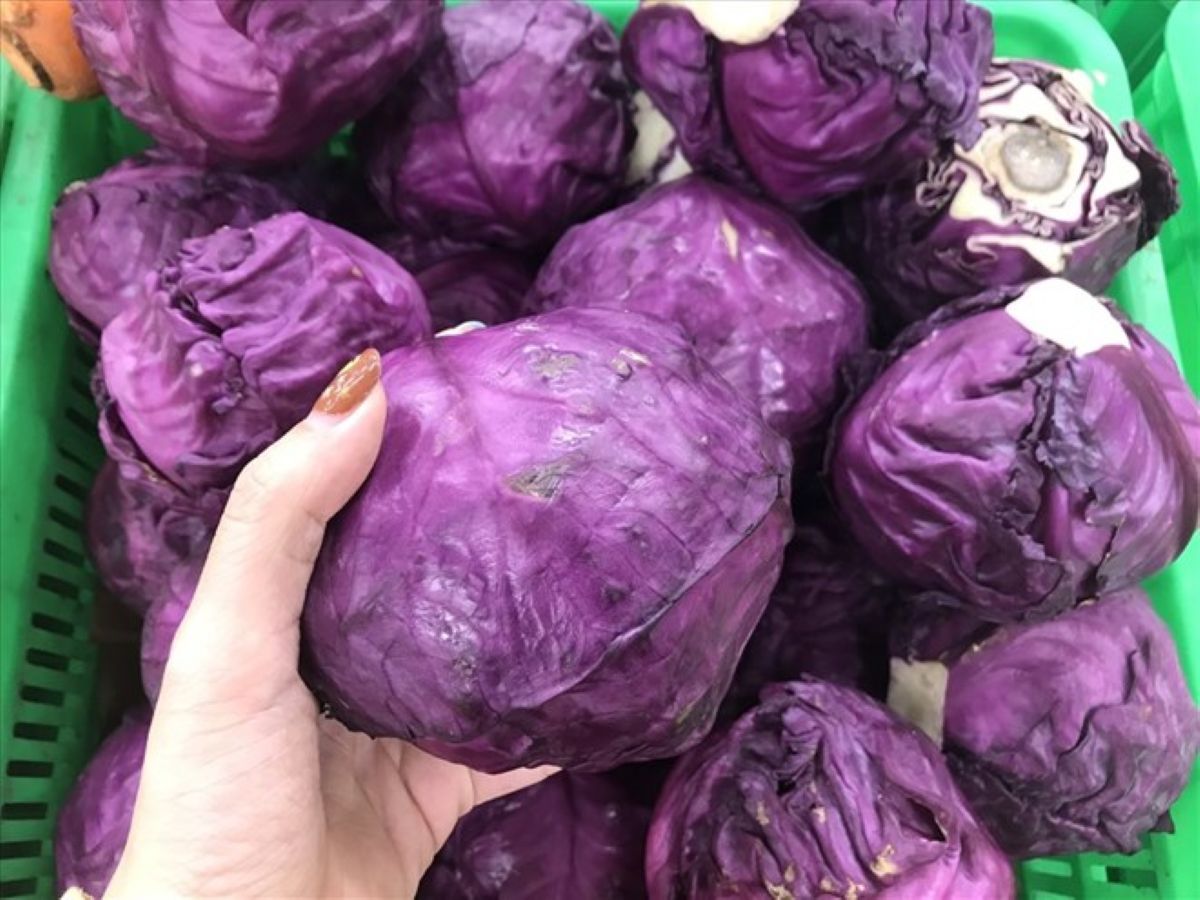 Purple cabbage is a good food for the liver and protects the skin. Photo: Thanh Ngoc