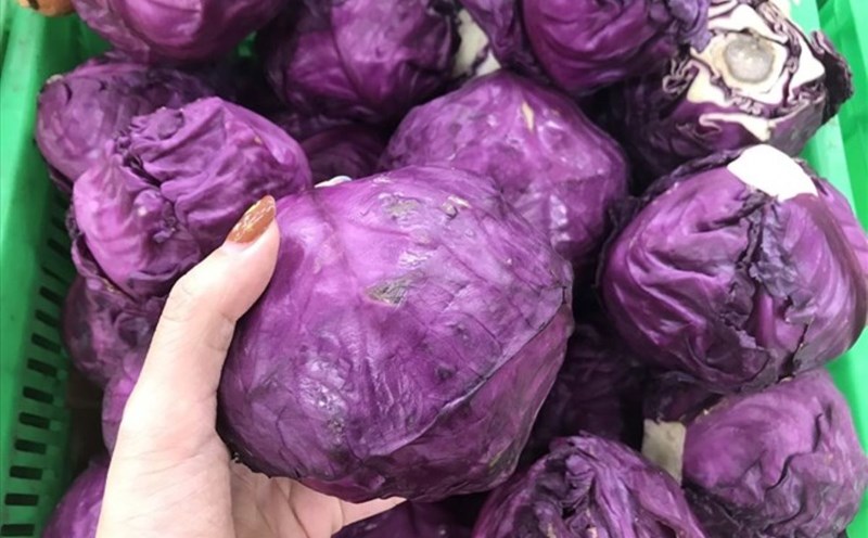 Purple cabbage is a good food for the liver and protects the skin. Photo: Thanh Ngoc