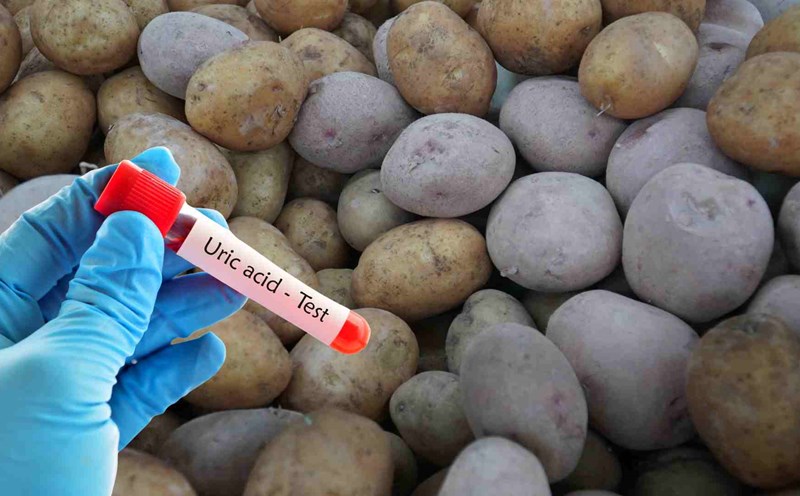 Potatoes help reduce uric acid. Photo: Ha May