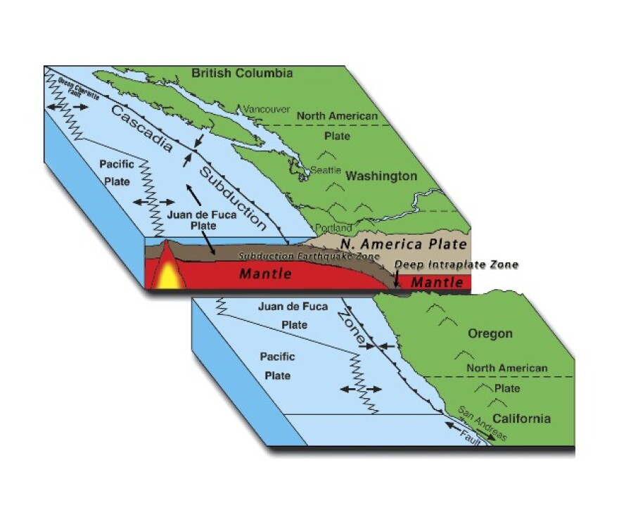 Doi hut chim Cascadia trai dai gan 1.000km tu Bac California (My) den dao Vancouver (Canada), noi mang dai duong Juan de Fuca bi don ep duoi mang Bac My. Anh: 