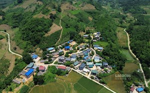 Mở lối thoát nghèo nhờ nguồn vốn tín dụng ưu đãi ở vùng cao Lào Cai