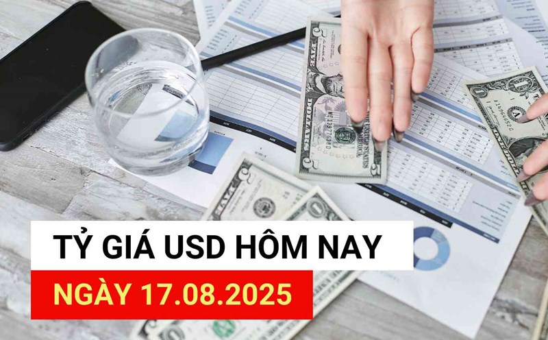 USD exchange rate today, August 17, 2025.