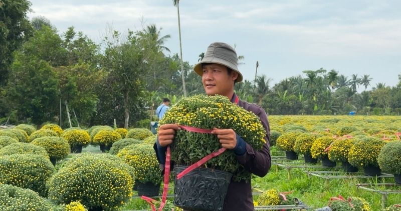 Tourists experience community tourism, explore culture and ecology, contributing to building a model new countryside. Photo: Hoang Loc