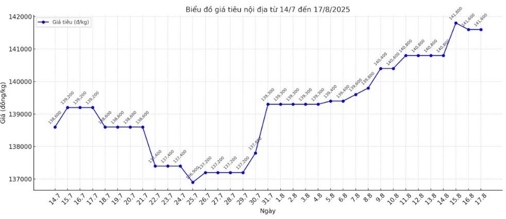 Xu huong tang cua gia tieu noi dia tu 14.7 den 17.8.2025, tang 3.000 dong/kg trong gan 1 thang qua. Anh: Thanh Binh 