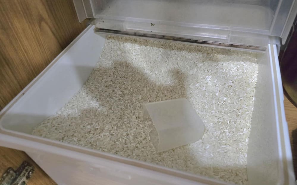 Proper storage of rice will help ensure quality, avoiding feeding worms. Photo: Tran Hung