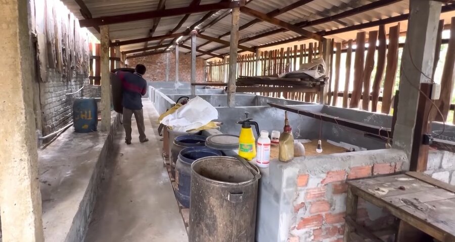 Mr. Tran Dat's family's barn in Chau Thuan Bien village, Dong Son commune, Quang Ngai province is vacant due to African swine fever. Photo: Vien Nguyen