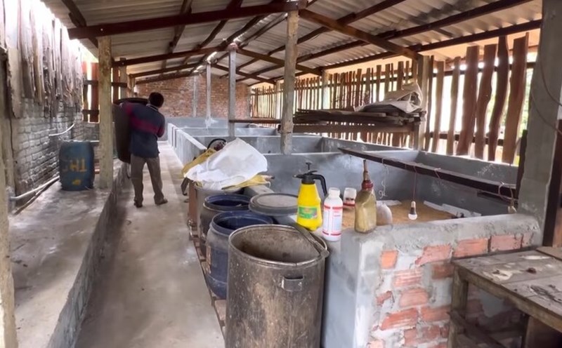 Mr. Tran Dat's family's barn in Chau Thuan Bien village, Dong Son commune, Quang Ngai province is vacant due to African swine fever. Photo: Vien Nguyen