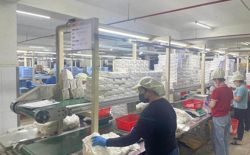 A glove manufacturing company in Ho Chi Minh City is recruiting more than 150 workers. Photo: Dinh Trong