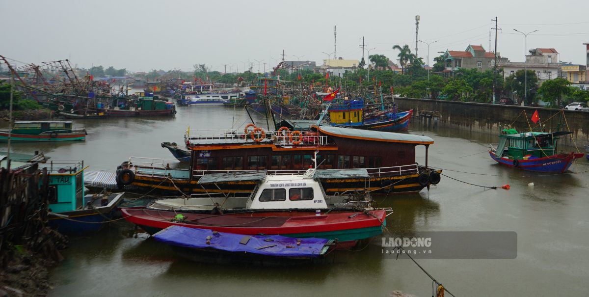 Nguoi dan va du khach tuan thu huong dan an toan cua dia phuong. Anh: Mai Dung