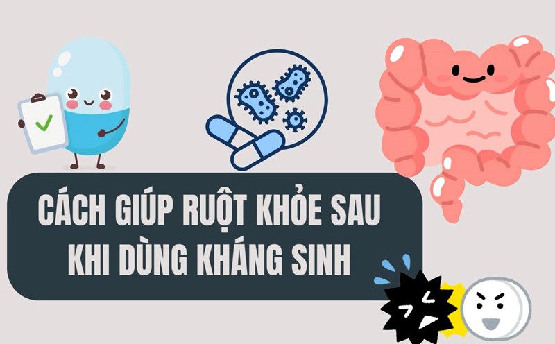 Tips on how to help the intestines stay healthy after taking antibiotics