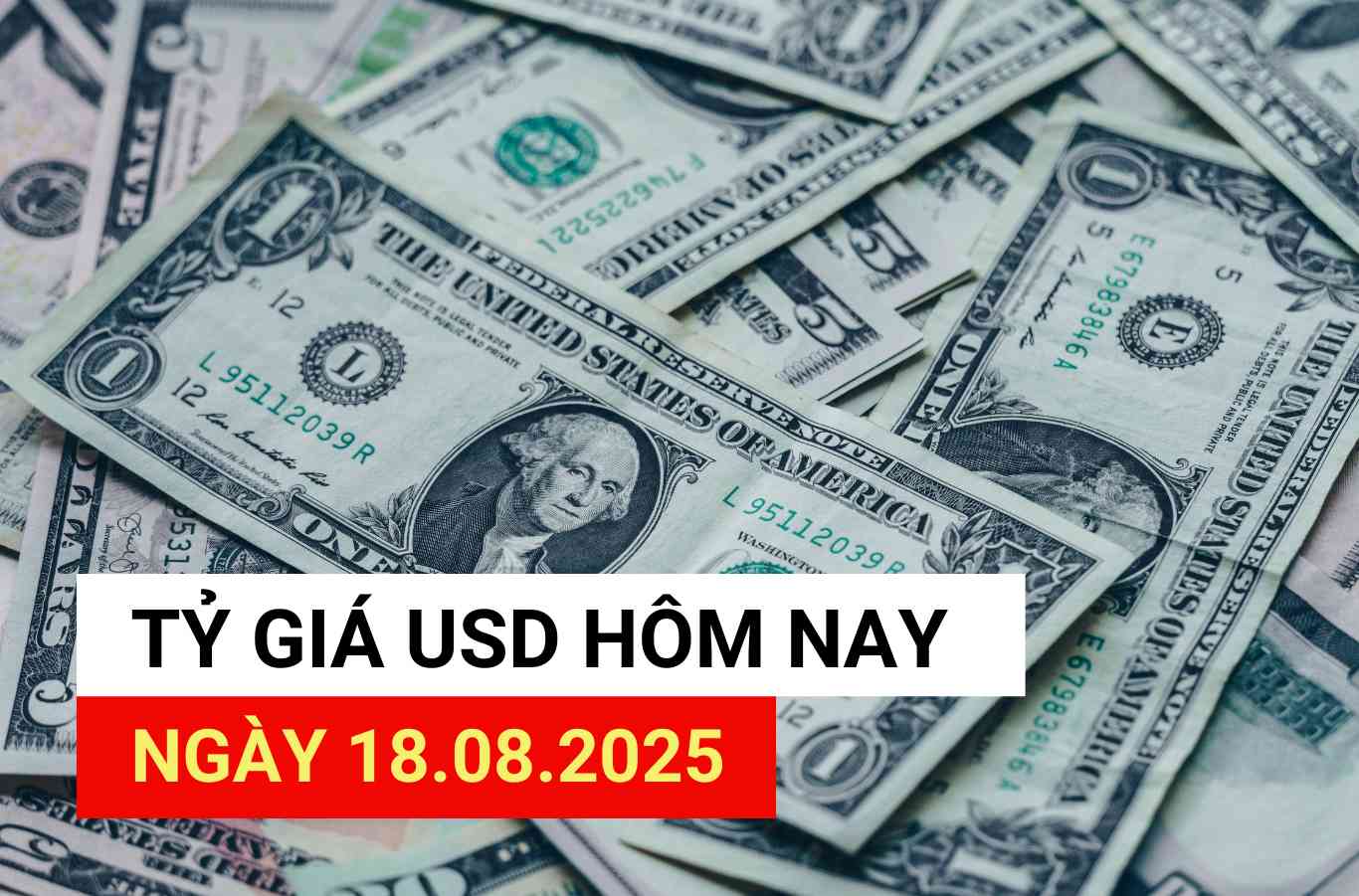 USD exchange rate today, August 18, 2025.