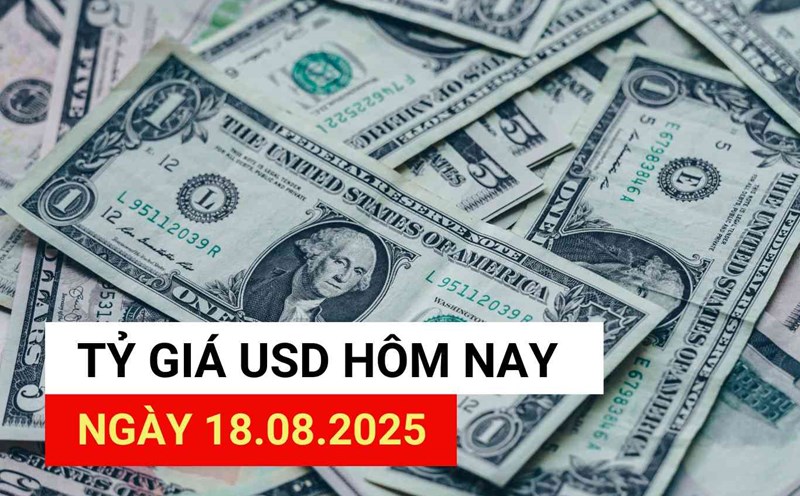 USD exchange rate today, August 18, 2025.