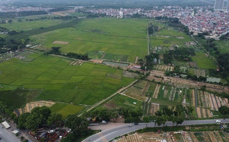 Amend procedures for land recovery due to violations of land law. Photo: Vinh Hoang