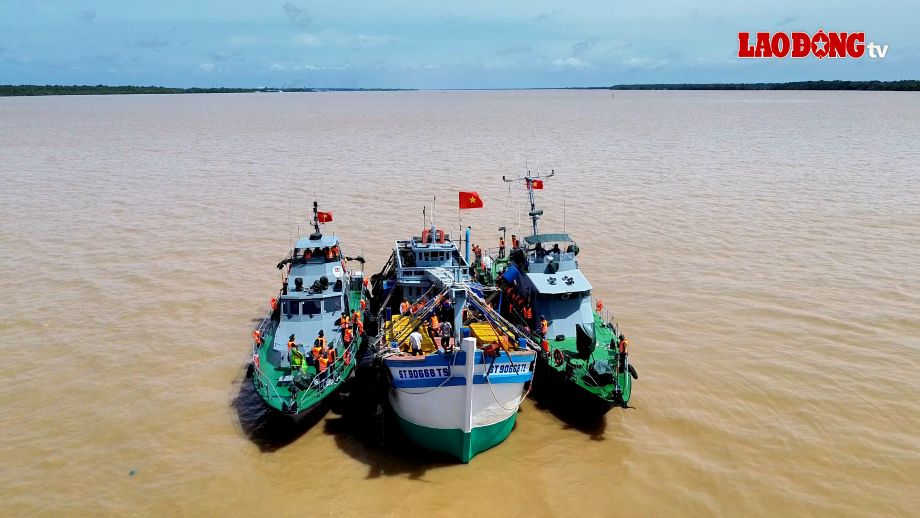 Can Tho City authorities are determined not to let fishing vessels leave the port if they do not meet the procedures.