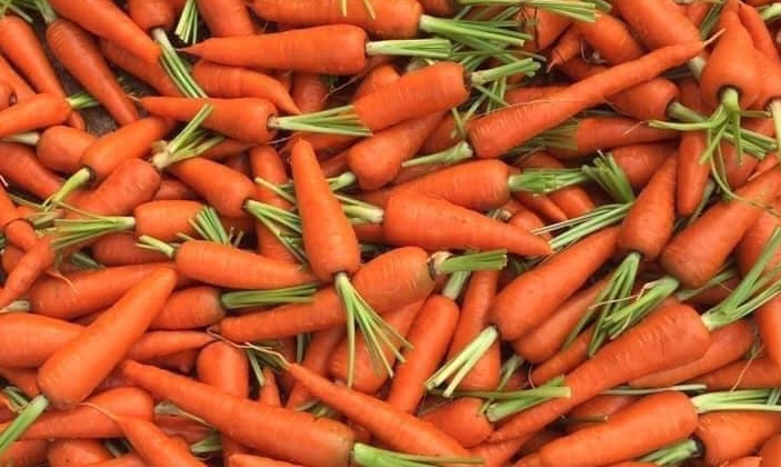 Carrots have many ingredients that can support natural liver detoxification. Photo: Kieu Vu