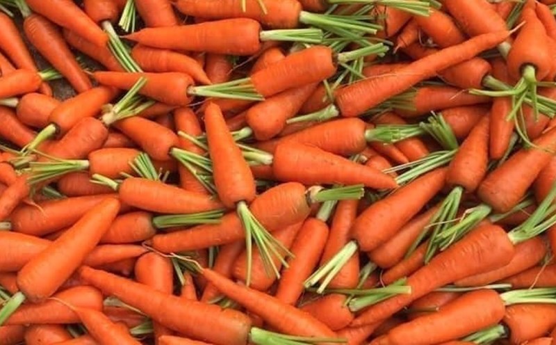 Carrots have many ingredients that can support natural liver detoxification. Photo: Kieu Vu