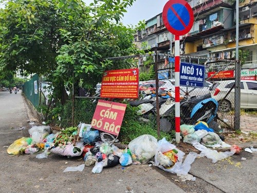 Hanoiは、最大43,000 VND/月/月までの廃棄物採取価格を提案しています。写真：ミン・ハン