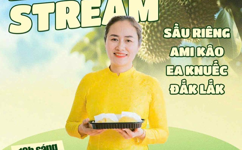 Ms. Ngo Thi Minh Trinh - Secretary of the Party Committee of Ea Knuek commune (Dak Lak province) will livestream to sell durian. Photo: Organizing Committee