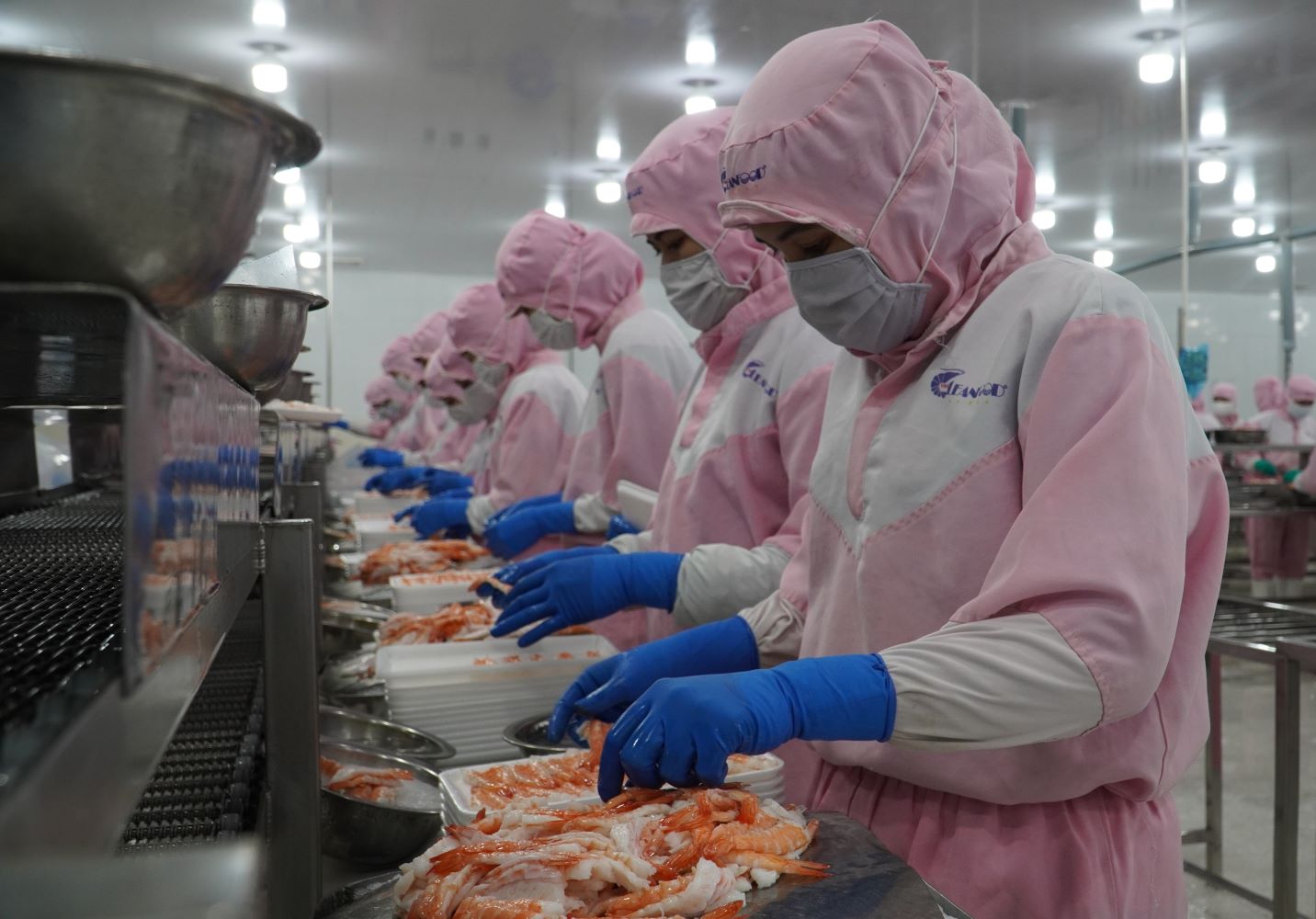 Xuất khẩu Cần Thơ vượt 2,4 triệu USD sau 7 tháng, doanh nghiệp phục hồi mạnh mẽ