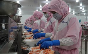 Xuất khẩu Cần Thơ vượt 2,4 triệu USD sau 7 tháng, doanh nghiệp phục hồi mạnh mẽ