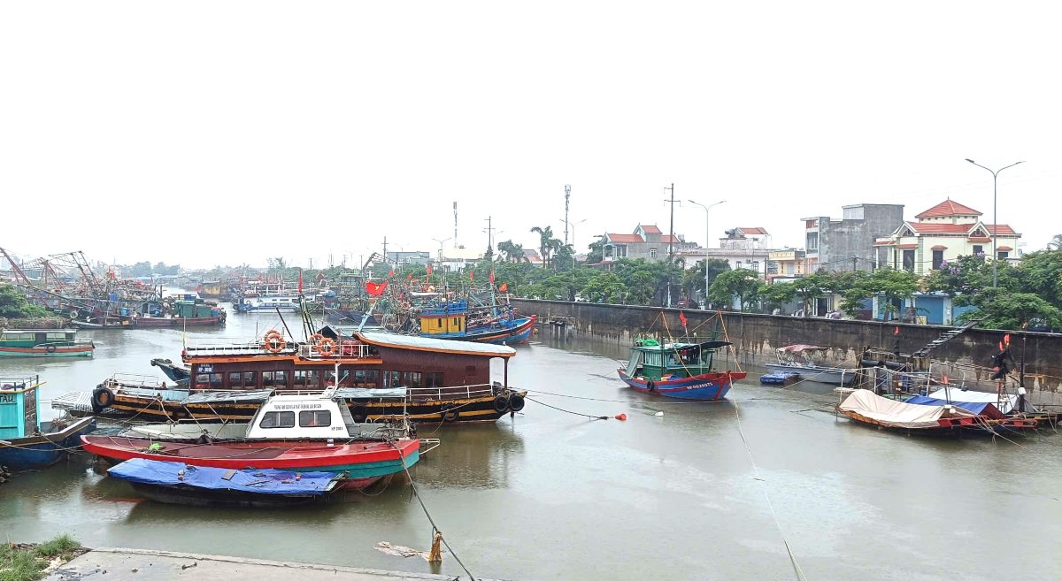 Hai Phong cam bien tu chieu 18.8 de ung pho ap thap nhiet doi. Ảnh: Mai Dung