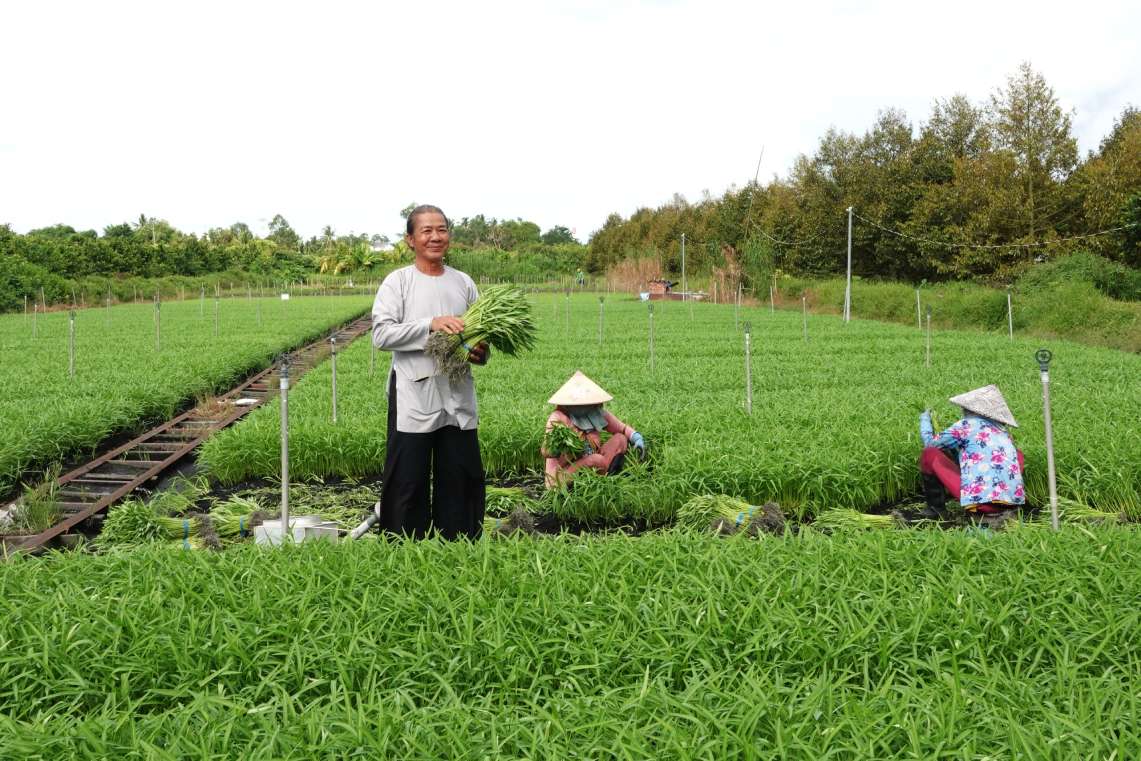 Ong Nguyen Van Bi (ten thuong goi la Tam Bi, sinh nam 1960, khu vuc Thoi Hoa). Anh: Ta Quang