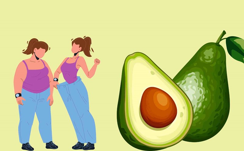 Avocado helps lose weight effectively. Graphic photo: Hoang Loc