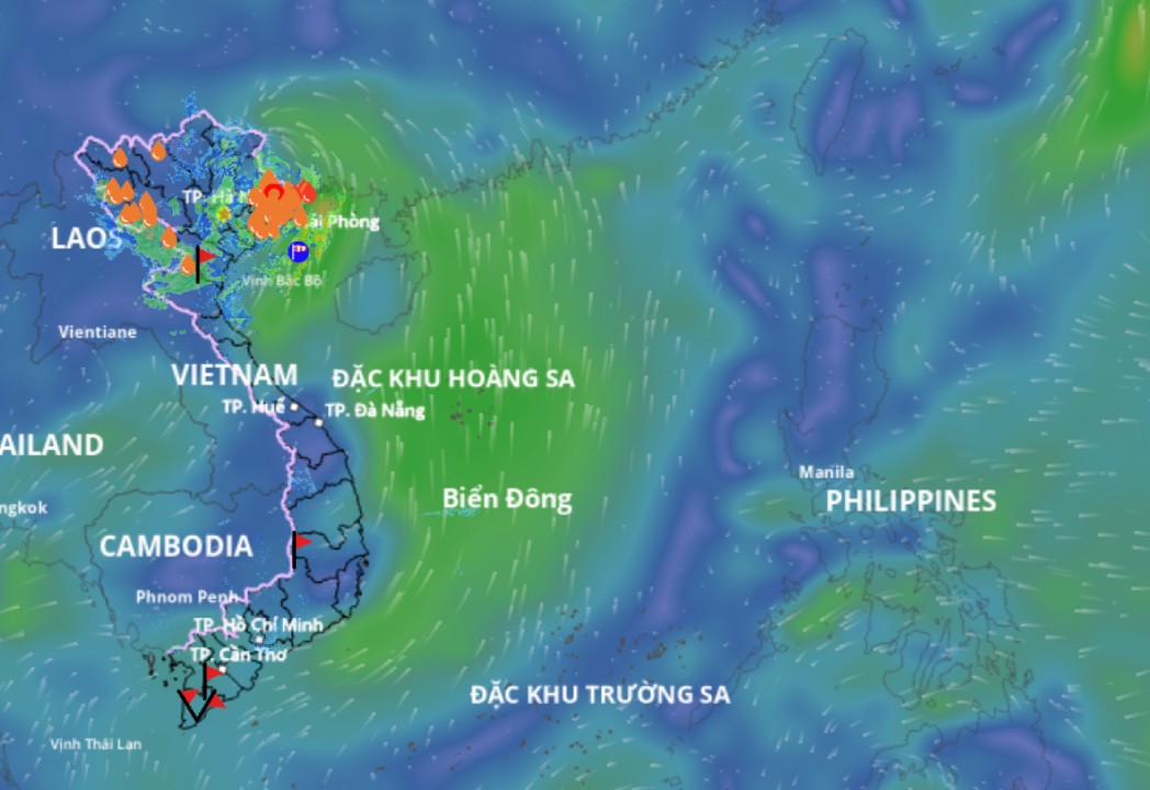 Updated location of the tropical depression at 9:00 a.m. on August 19. Source: Vietnam Disaster Monitoring System