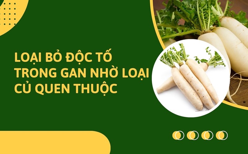 Beetroot is rich in vitamin C, fiber... good for the liver. Graphic photo: Huong Son