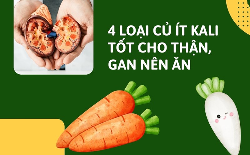 Carrots are a low- potassium root that is good for the kidneys and liver. Graphic photo: Huong Son