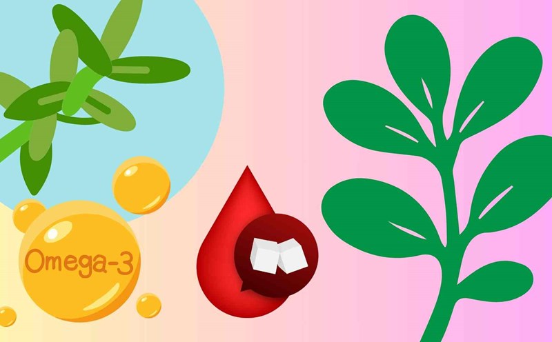 Wild vegetables grow in whole gardens help cool the liver, reduce inflammation and stabilize blood sugar effectively