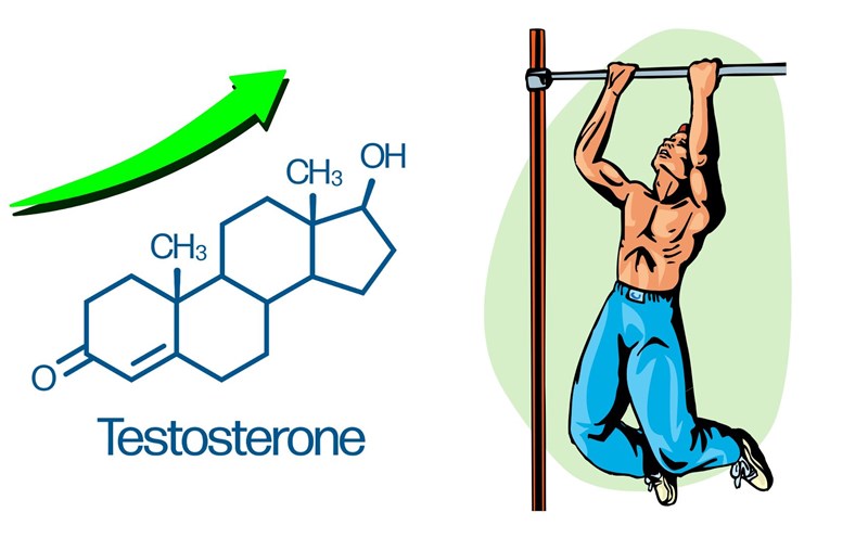 Bar suction exercises help increase testosterone for men over 45 years old. Graphics: Thanh Thanh